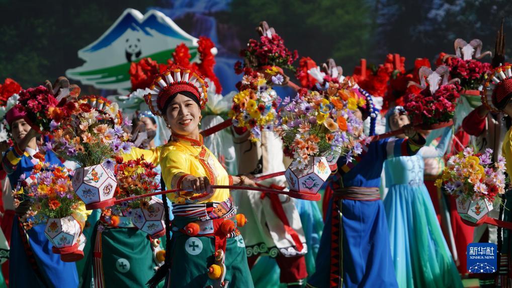 太阳神导航网址最新发布